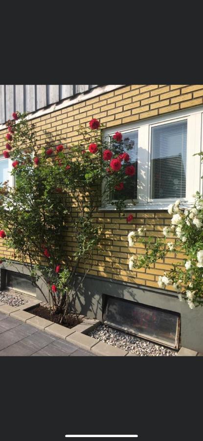 Flamur & Vannis Bnb Malmö